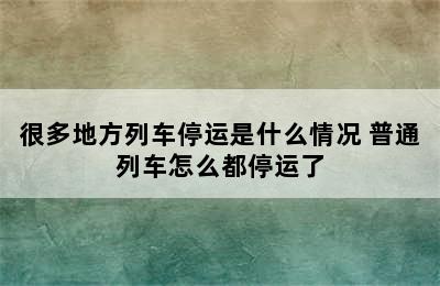 很多地方列车停运是什么情况 普通列车怎么都停运了